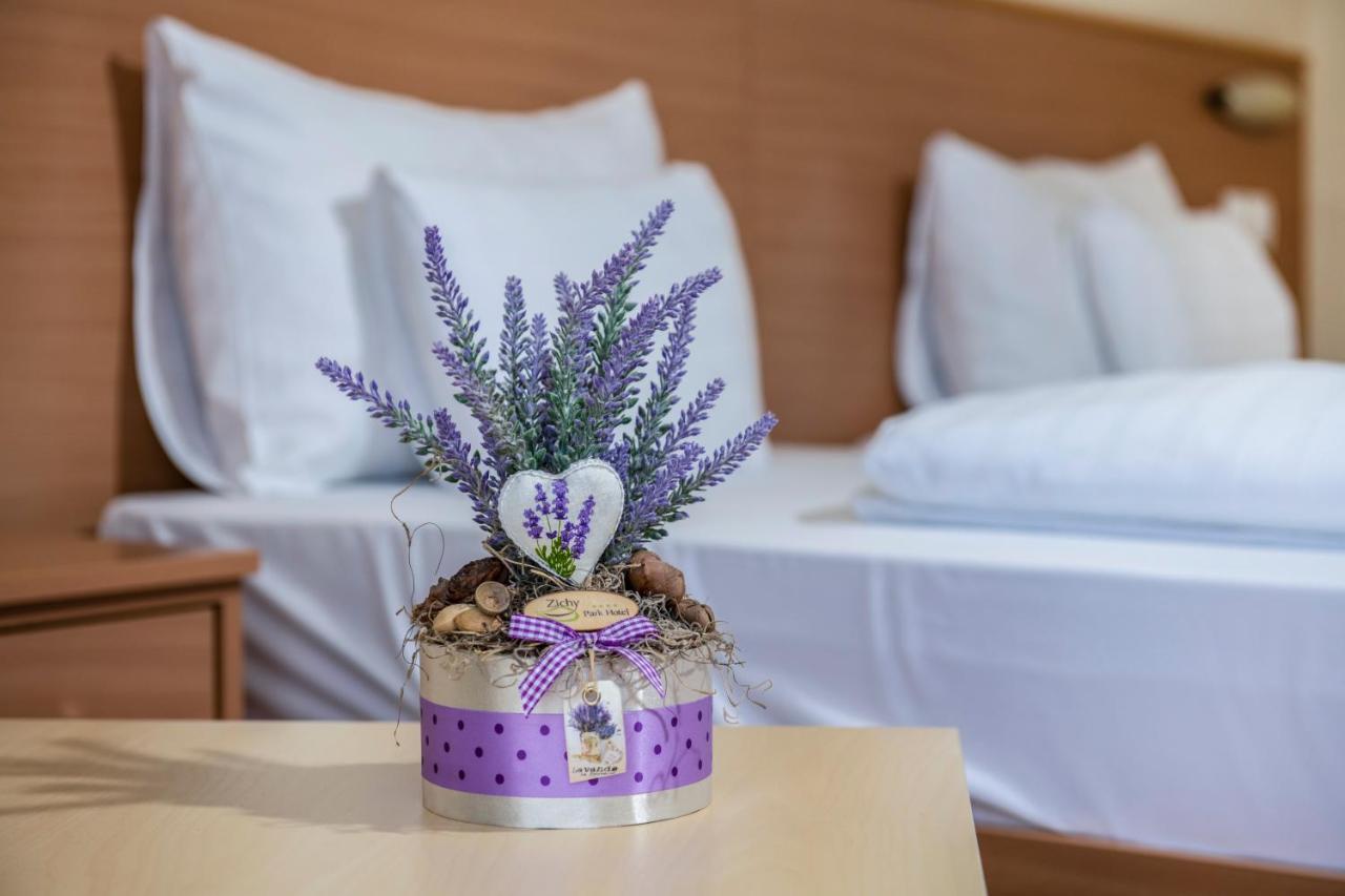 Zichy Park Hotel Bikács Εξωτερικό φωτογραφία